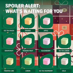 Waterdrop® Advent Calendar 2025 – 25 Days of Sugar Free Water Flavouring Hydration Tablets, Christmas Gifts for Women & Men, Countdown Calendar with Daily Surprise Flavours - Limited Edition