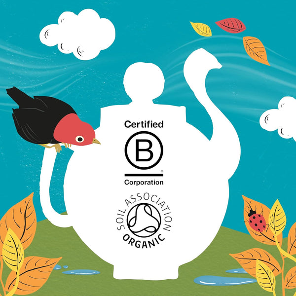 Clipper Organic Everyday Fairtrade Teabags | Black Tea Bags | Natural, Unbleached, Plant-Based Biodegradable & Sustainable Teabags | Eco Conscious, Non GM & Fair Trade Tea (80 Teabags)