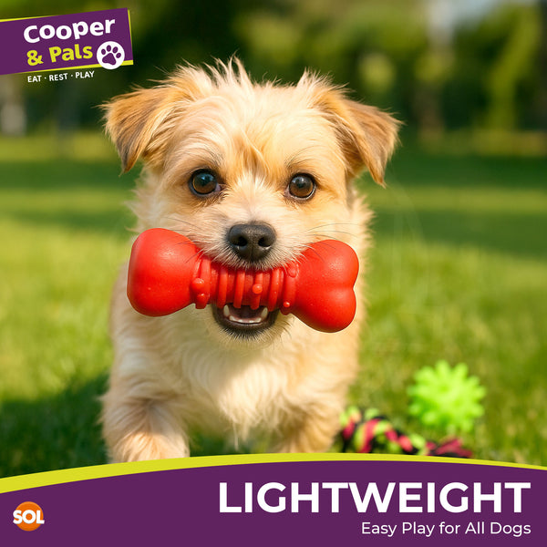 Mix It Play Pack 3pk Dog Toy Set | Includes Rope Pull Toy, Squeaky Bone & Play Ball | Durable, Lightweight Toys for Small & Medium Dogs | Great for Chewing, Tugging & Fetching