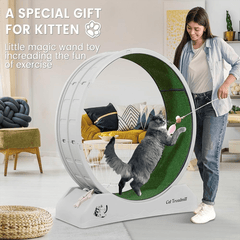 1pc Indoor Assembly Cat Roller Treadmill, Silent Fitness Cat Treadmill Wheel, Plastic Treadmill for Pet Cats, Easy to Assemble and Clean