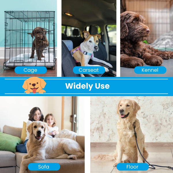 Lizzy Medium Pet Cooling Mat 40cm x 50cm | Self-Cooling Gel Mat for Dogs up to 30kg | No Water, Electricity or Refrigeration Needed | Wipe-Clean, Portable Pad for Summer Comfort