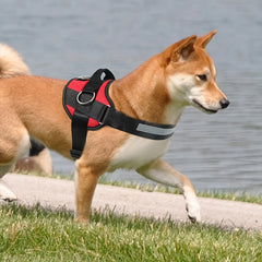 Adjustable Dog Harness for Small & Large Dogs - Reflective Nylon Vest with Striped Design, D-Ring Leash Attachment, and 