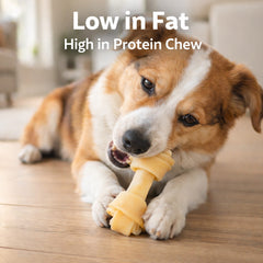 Pure Breed 2 Pack Knotted Rawhide Dog Chew Bones | Long Lasting Dog Chew Treats | High Protein Low Fat Dog Snacks | Puppy & Adult Dog Chew Bones for Indoor or Outdoor Use