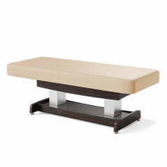 Master Massage Union Salon 78Cm Dual Tower Electric Spa Bed
