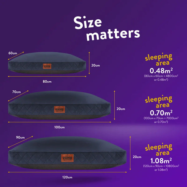 Paws for Slumber Raised Padded Dog Bed
