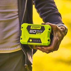 Greenworks 60V Charger and 2Ah Battery 433254