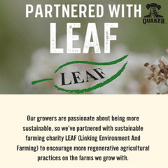 Quaker Oat So Simple Golden Syrup Porridge – 50 x 36g Sachets – Instant Oats with Sweet Flavour – Quick & Easy Breakfast