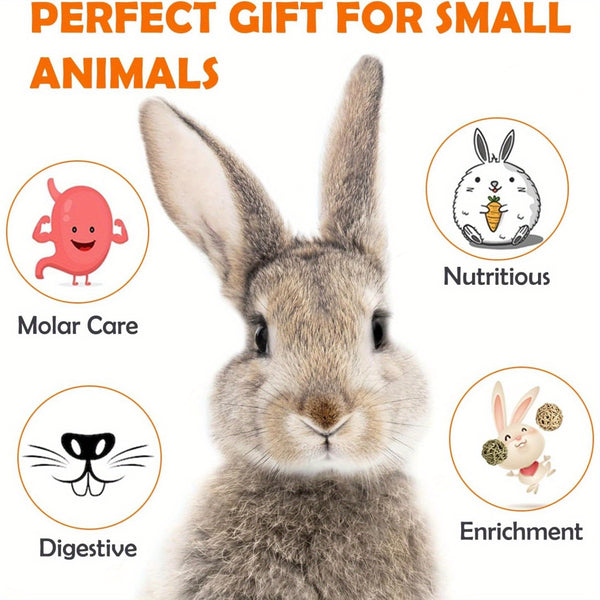 Rabbit Timothy Hay Toys, Natural Bunny Molar Treats, Herbal Flower Rabbit Chew Toys for Small Animal Teeth, Rats, Chinchillas, Guinea Hamster