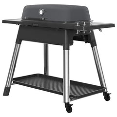 Everdure Force 2 Burner Gas Barbecue in Graphite