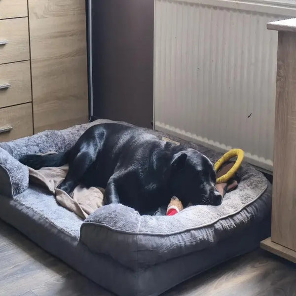 Orthopedic Extra for Large Dog Bed (XXL) - Thick Cushioned Dog Sofa Bed with Non-Slip Base, Heavy-Duty Pet Mattress for Large Dogs, Easy Assembly, Ideal for Indoor/Outdoor Use - Compatible with Small, Medium, And for Large Breeds
