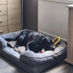 Orthopedic Extra for Large Dog Bed (XXL) - Thick Cushioned Dog Sofa Bed with Non-Slip Base, Heavy-Duty Pet Mattress for Large Dogs, Easy Assembly, Ideal for Indoor/Outdoor Use - Compatible with Small, Medium, And for Large Breeds