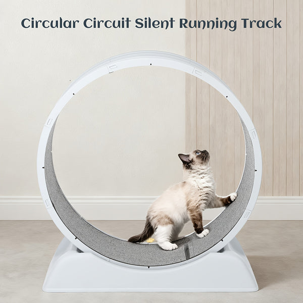 Cat Exercise Wheel, 79 Cm Cat Treadmill for Indoor Cats, Running Wheel with Carpeted Runway, Easy to Install & Fitness & Health, Suitable for Most Cats, Plastic Wheel