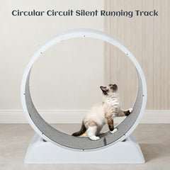 Cat Exercise Wheel, 79 Cm Cat Treadmill for Indoor Cats, Running Wheel with Carpeted Runway, Easy to Install & Fitness & Health, Suitable for Most Cats, Plastic Wheel