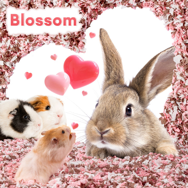 BUCATSTATE 20L/450g Hamster Bedding, 99% Dust-Free Guinea Pig Paper Bedding Odor Control Paper Bedding, Cozy Small Animal Bedding For Rabbit Rat Syrian Dwarf Hamsters Gerbils