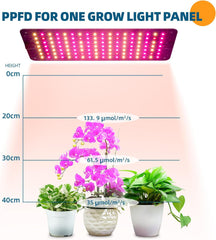 Barrina Grow Light for Indoor Plants, 20W (2 X 10W) Full Spectrum Linkable LED Plant Light Panels with 3/6/12H Auto On/Off Timer for Hydroponics, Seedlings, Succulents, Veg, Flowers, 2-Pack