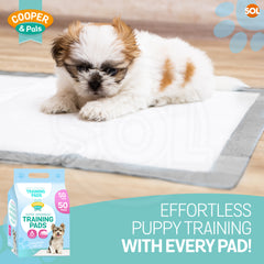 400 Pack Puppy Training Pads 45x60cm | Super Absorbent Leak-Proof Dog Pee Pads | Odor Control & Moisture Lock Layers | Disposable Indoor Pet Training Pads for Puppies & Small Dogs