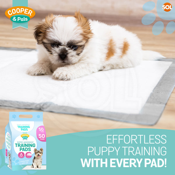 400 Pack Puppy Training Pads 45x60cm | Super Absorbent Leak-Proof Dog Pee Pads | Odor Control & Moisture Lock Layers | Disposable Indoor Pet Training Pads for Puppies & Small Dogs