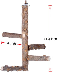 KINTOR Bird Perch Nature Wood Stand for 3-4Pcs Small Medium Parrots (S-For Small Parrots)