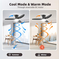 Modern Ceiling Fan Light with Remote Control - Dimmable Fixture, 6-Speed Adjustable Fan & 3-Tier Color Temperature (3000K/4500K/6500K), Timer, Suitable for, Semi-Recessed Installation, Bohemian Style Ceiling Light with Fan