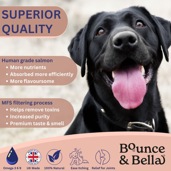 Scottish Salmon Oil for Dogs & Cats UK - Purity-Filtered Omega 3-6-9 Fish Oil Supplement, 500ml, Bounce and Bella