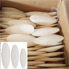 10pcs Cuttlebone for Birds, Cuttlefish Bone Calcium Supplement Set, Mineral Chew Toy, Pet Bird Food Supply, Ideal for Parrots, Budgies, Cockatiels, And Other Pet Birds' Health Care