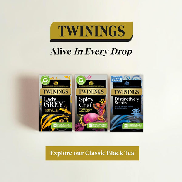 Twinings Spicy Chai Tea Warming & Aromatic Black Tea Spices of Cinnamon, Clove & Ginger with Assam Tea Base, 40 Biodegradable Tea Bags