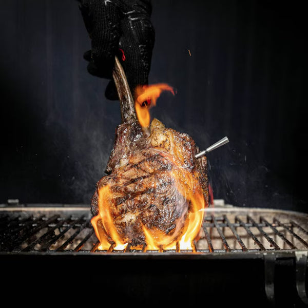 Meater Pro Wireless Smart Meat Thermometer