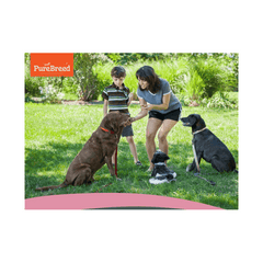 Meat Wrapped Rawhide Dog Treats - Duck Chews for Dogs, High-Protein and Low-Fat, Promotes Healthy Teeth, Great for Training, Rewards, Chewing Satisfaction, and Long-Lasting Enjoyment