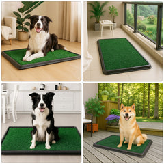 20 x 16 inch Dog Toilet Tray with Artificial Grass – Reusable Dog Litter Tray for Puppies and Small Dogs, Portable Potty with Drainage System for Flat or Home Use Indoor