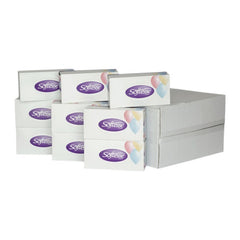 Softesse Facial Tissue Boxes 24 Packs 2 Ply Soft Absorbent Facial Family Size Boxes
