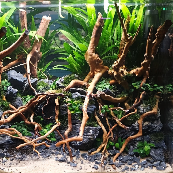 A Collection of Driftwood Pieces for Aquarium Decoration, Perfect for Creating a Natural Landscape in Your Fish Tank