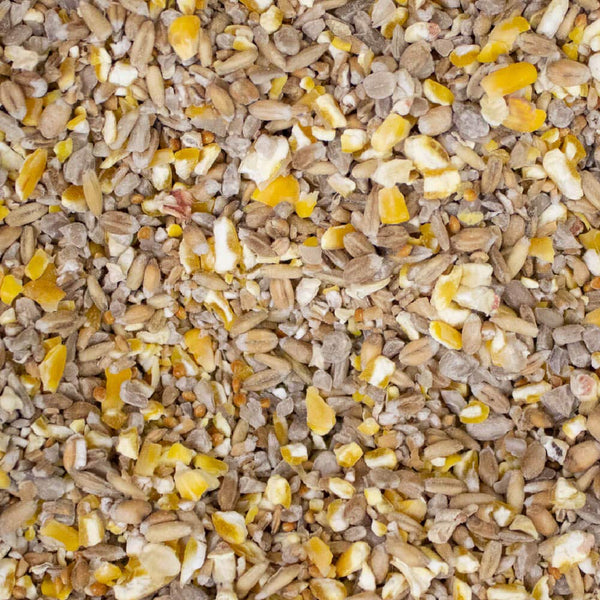 Leagrams Everyday Robin No Mess Seed Mix (12.55kg)