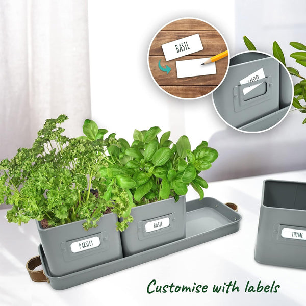 Herb Pots for Kitchen Windowsill - Set of Herb Planter Indoor with Leather Handled Tray - Ideal for an Indoor Herb Garden, Plants and Flowers - Labels Included