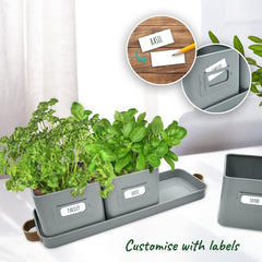 Herb Pots for Kitchen Windowsill - Set of Herb Planter Indoor with Leather Handled Tray - Ideal for an Indoor Herb Garden, Plants and Flowers - Labels Included