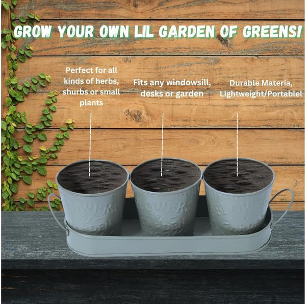 Trendi – Set of 3 Metal Plant Pots with Drip Tray | Embossed Indoor & Outdoor Plant Pots for Garden, Windowsill, Kitchen & Desk | Decorative Metal Flower Pots for Herbs & Plants | Light Grey