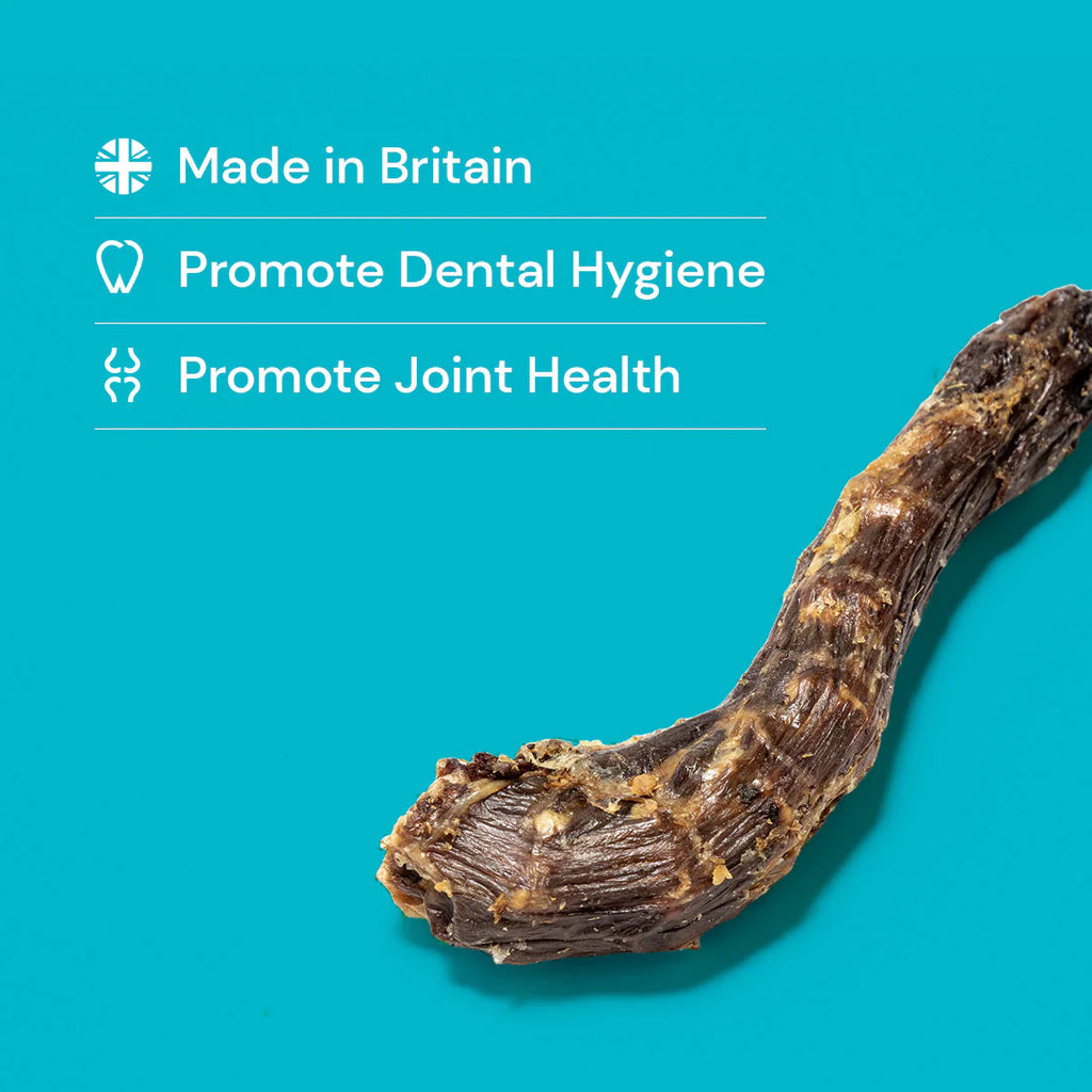 Duck Necks Pet Treat UK