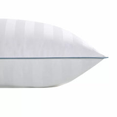 Down Haven Feather down Pillow