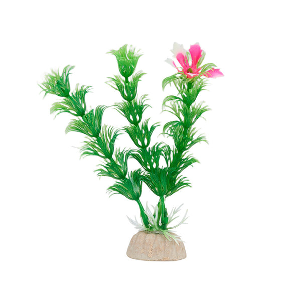 Mini Hanging Glass Aquarium with Stand - Creative Desk Tank for Fish or A Clear Vase for Succulents/Hydroponics, Small Modern Tabletop Oasis Offering Unique Home & Office Decor and A Soothing Gift Idea