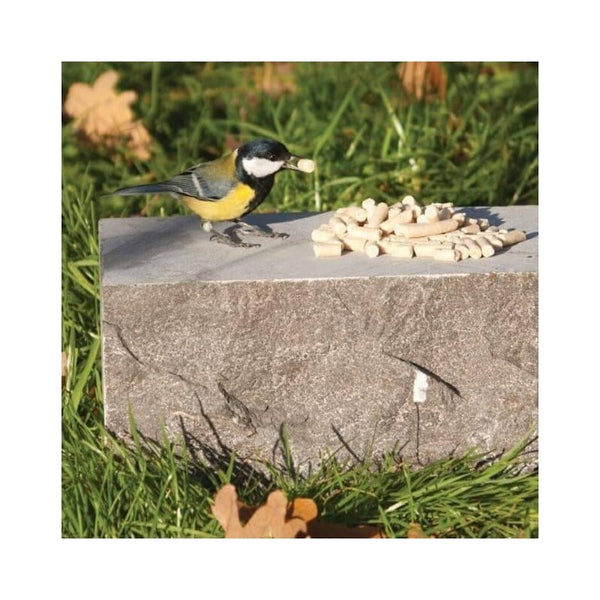 Suet To Go Insect Suet Pellets 500g High Energy Wild Bird Food For All Year Feeding