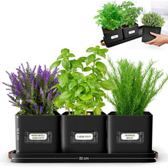 Herb Pots for Kitchen Windowsill - Set of Herb Planter Indoor with Leather Handled Tray - Ideal for an Indoor Herb Garden, Plants and Flowers - Labels Included