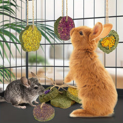 Rabbit Timothy Hay Toys, Natural Bunny Molar Treats, Herbal Flower Rabbit Chew Toys for Small Animal Teeth, Rats, Chinchillas, Guinea Hamster