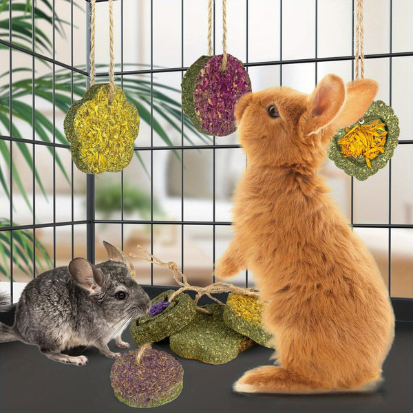 Rabbit Timothy Hay Toys, Natural Bunny Molar Treats, Herbal Flower Rabbit Chew Toys for Small Animal Teeth, Rats, Chinchillas, Guinea Hamster