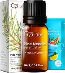 Gya Labs Rose Essential Oils for Skin - 100% Pure Natural Rose Oil for Face, Hair, Diffuser, Perfume & Candle Making Scent Aromatherapy (10Ml)