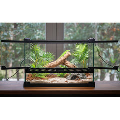 Glass Reptile Terrarium Insect Breeding Tank Vivarium Habitats for Lizards, Horned Frogs, Snakes, Spiders Reptile Glass Terrarium Tank Amphibians Box (Horizontal)