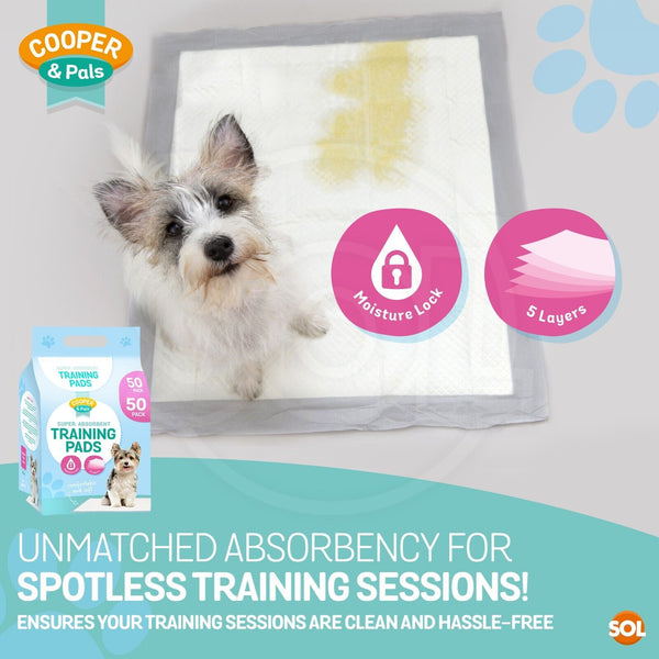 100 Puppy Training Pads for Dogs | Large 60x45cm Dog Pee Pads with Leak-Proof Backing & Odour Control | Super Absorbent Puppy Toilet Training Mats | Bulk Disposable Dog Wee Pads for Housebreaking & Travel