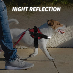 Adjustable Dog Harness for Small & Large Dogs - Reflective Nylon Vest with Striped Design, D-Ring Leash Attachment, and 