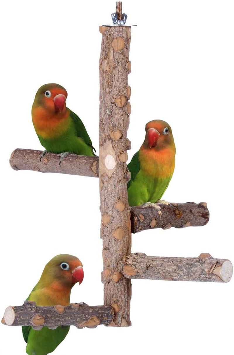 KINTOR Bird Perch Nature Wood Stand for 3-4Pcs Small Medium Parrots (S-For Small Parrots)