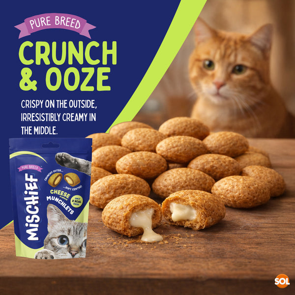 Pure Breed Mischief Cat Treats 6 Pack | Cheese Flavour Pillow Snacks for Cats | Crunchy Outer & Creamy Centre | Low Calorie Cat Bites (Only 2 kcal Each) | Natural Resealable Cat Treat Pouches for Everyday Rewards