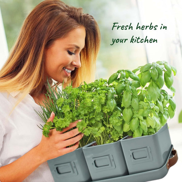 Herb Pots for Kitchen Windowsill - Set of Herb Planter Indoor with Leather Handled Tray - Ideal for an Indoor Herb Garden, Plants and Flowers - Labels Included