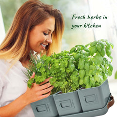 Herb Pots for Kitchen Windowsill - Set of Herb Planter Indoor with Leather Handled Tray - Ideal for an Indoor Herb Garden, Plants and Flowers - Labels Included